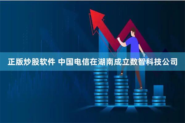 正版炒股软件 中国电信在湖南成立数智科技公司