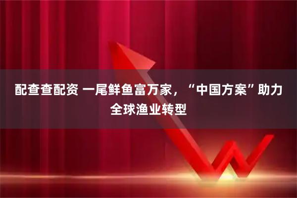 配查查配资 一尾鲜鱼富万家，“中国方案”助力全球渔业转型