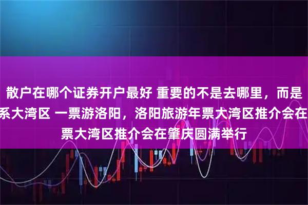 散户在哪个证券开户最好 重要的不是去哪里，而是去那里!——情系大湾区 一票游洛阳，洛阳旅游年票大湾区推介会在肇庆圆满举行